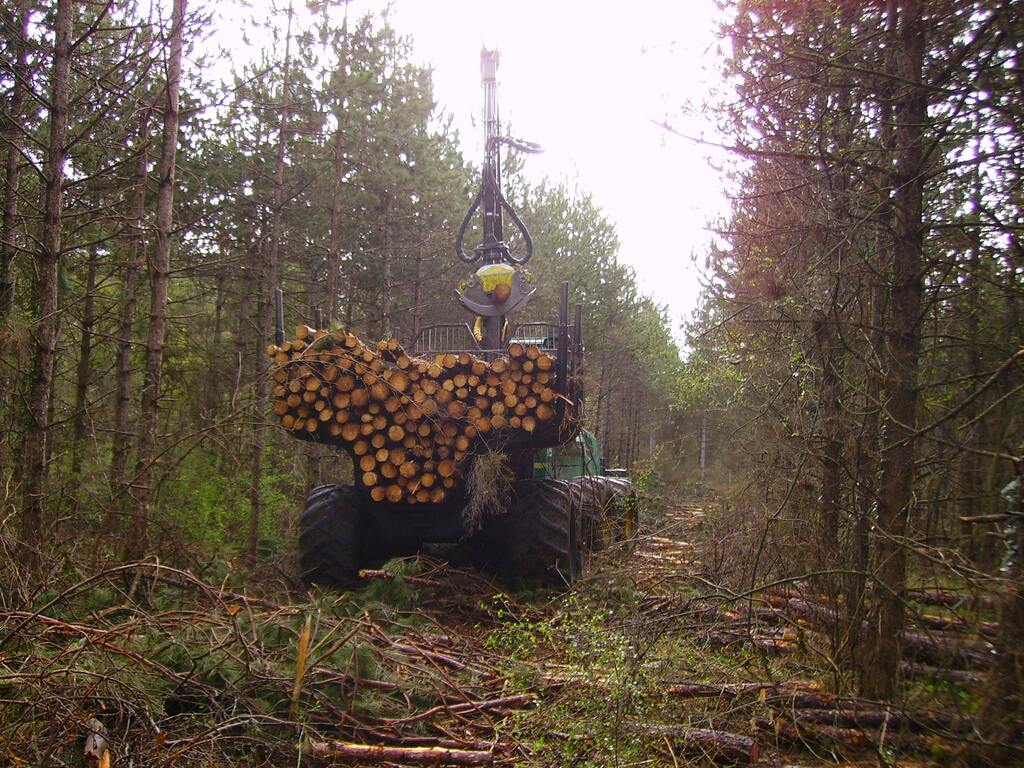 Débardage d'une éclaircie résineuse